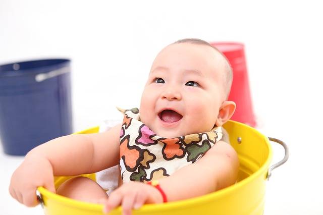 無料の写真: チャイルド, コンパクト, 赤ちゃん, かわいい - Pixabayの無料画像 - 3054430 (83123)