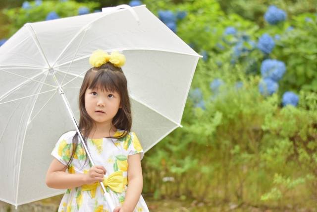 紫陽花と子供｜写真素材なら「写真AC」無料（フリー）ダウンロードOK (87428)