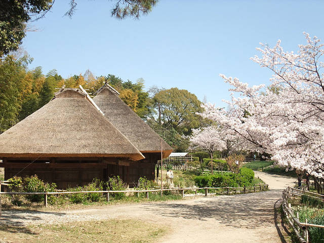 File:Old Japanese Farm House Museum Miyazaki.JPG - Wikimedia Commons (89957)