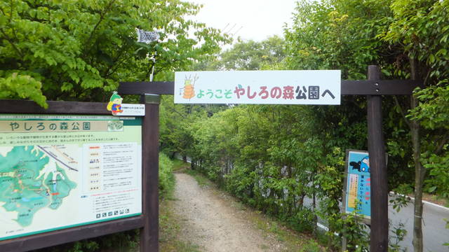ファイル:Yashiro forest park in 2014-7-12 No,1.JPG - Wikipedia (89980)