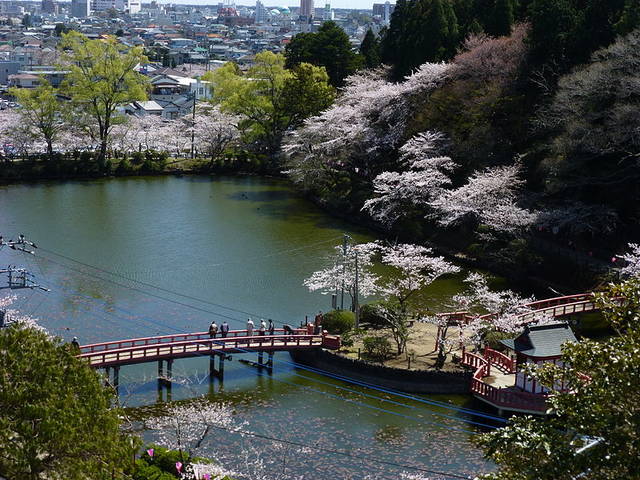 File:茂原公園桜風景.JPG - Wikimedia Commons (90111)