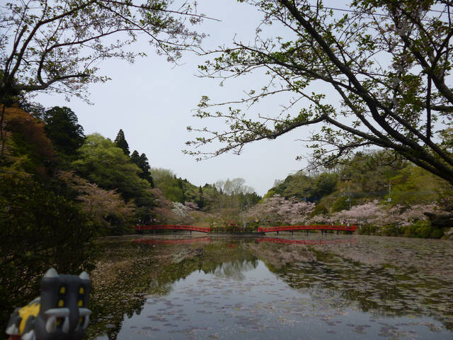 Bastiodon in Mobara, Chiba 3 (Mobara park) | Kasadera | Flickr (90114)
