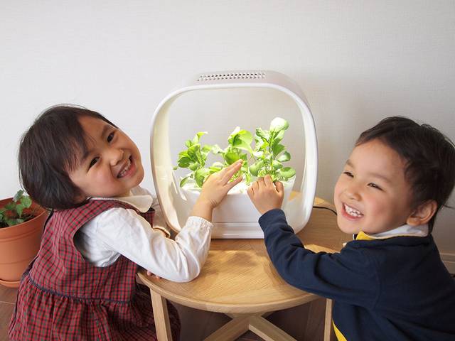 おすすめ栽培キット5選 植物栽培で知育 リラックス効果 Chiik チーク 乳幼児 小学生までの知育 教育メディア