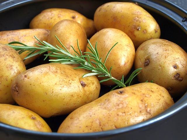 Potatoes Rosemary Grill · Free photo on Pixabay (96447)