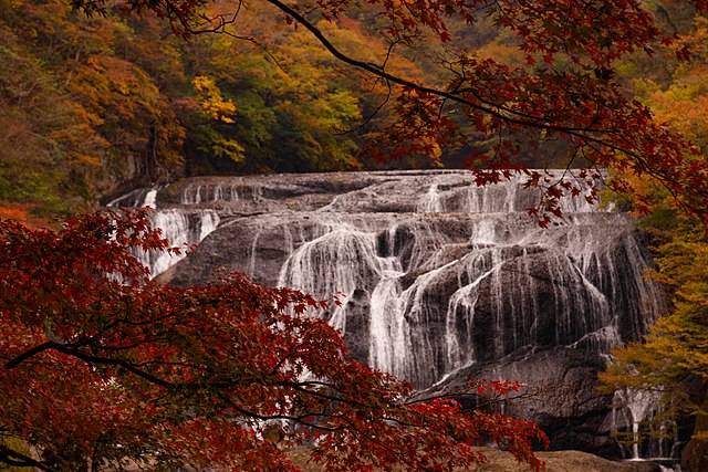File:Autumn at Fukuroda falls, Daigo, Ibaraki, Japan; November 2016.jpg - Wikimedia Commons (108087)