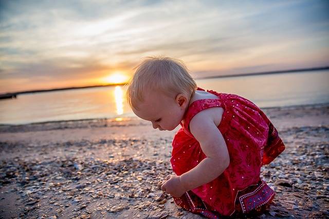 Shells Beach Toddler · Free photo on Pixabay (111373)