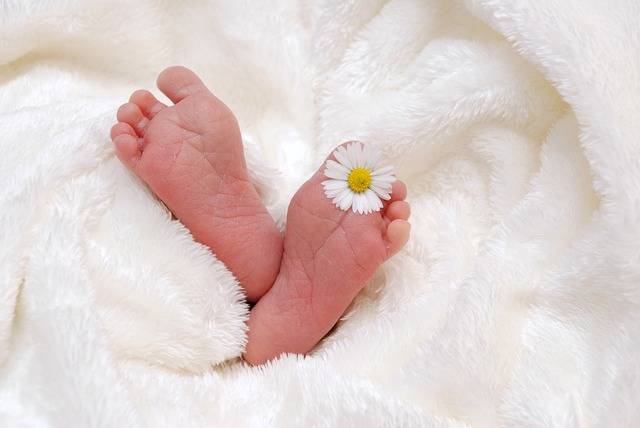 赤ちゃん 誕生 子 · Pixabayの無料写真 (117900)