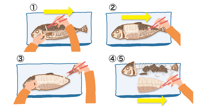 上手な魚の食べ方と教え方のコツ 子どもの食育 集中力向上に Chiik