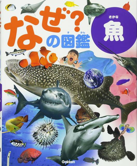 海の生き物や魚に楽しい図鑑で親しもう おすすめ図鑑5選 Chiik チーク 乳幼児 小学生までの知育 教育メディア