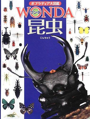 昆虫 (ポプラディア大図鑑WONDA) | 寺山 守 |本 | 通販 | Amazon (122212)