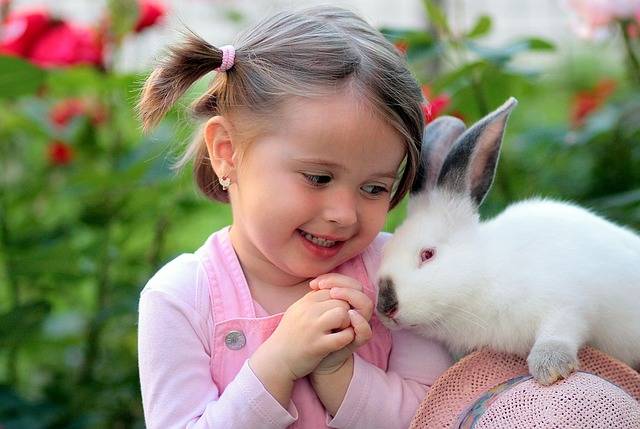 女の子 ウサギ 友情 · Pixabayの無料写真 (123731)