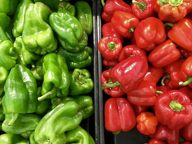 Agriculture Bell Pepper Capsicum · Free photo on Pixabay (128854)