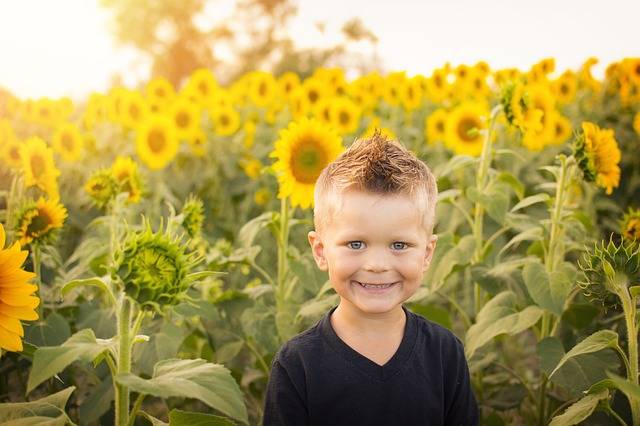 Child Sun Sunflowers · Free photo on Pixabay (129089)