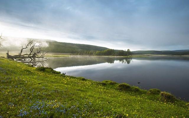 湖畔 朝もや 花 · Pixabayの無料写真 (129243)