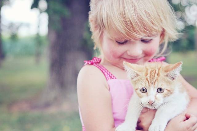 Girl Kitten Pet · Free photo on Pixabay (130443)