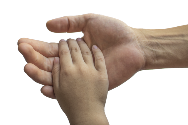 手 大人と子供 家族 · Pixabayの無料写真 (130849)