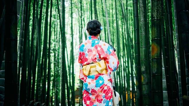 Bamboo Trees Girl Kimono - Free photo on Pixabay (135110)