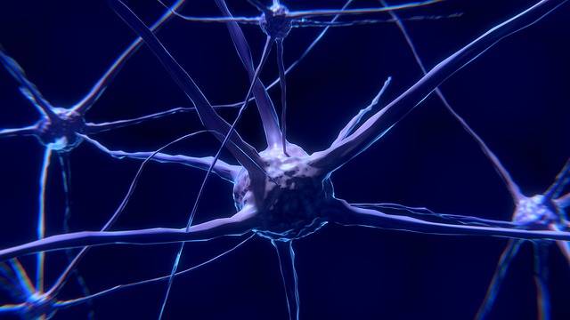 神経細胞 ニューロン 脳 - Pixabayの無料画像 (138737)