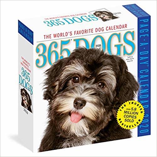 Amazon | 365 Dogs Color 2020 Calendar | Workman Publishing | Nature & Wildlife (148907)