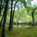 宝が池公園 子どもの楽園 | 京都市都市緑化協会