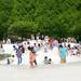 国営昭和記念公園公式ホームページ | 日本を代表する国営公園 「花」「緑」イベント満載の都会のオアシス