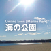 潮干狩り||海の公園公式サイト｜公益財団法人 横浜市緑の協会