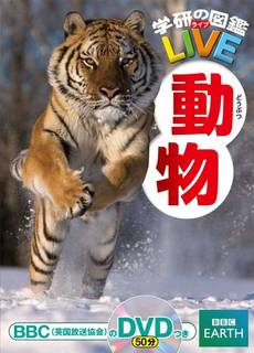 DVD付 動物 (学研の図鑑LIVE) | 今泉忠明 |本 | 通販 | Amazon (38053)