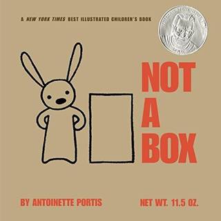 Amazon | Not a Box | Antoinette Portis | Activity Books (99051)