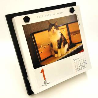 Amazon | シーオーツー 猫めくり 2020年 カレンダー 日めくり CK-C20-01 | カレンダー | 文房具・オフィス用品 (148927)
