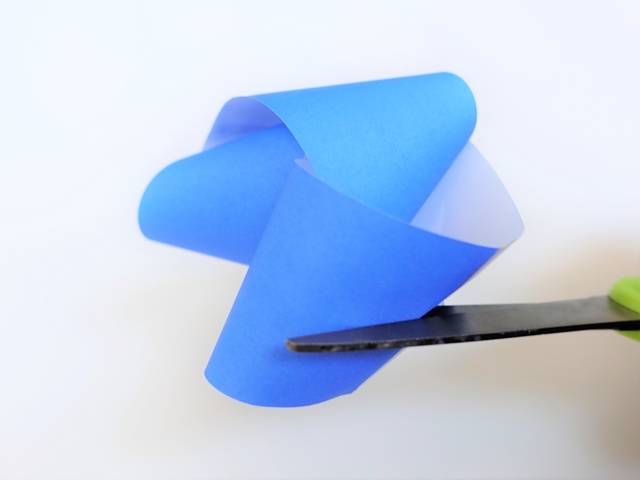 photo by author (126630)